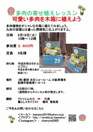 6 18 多肉の寄せ植えレッスン 可愛い多肉を木箱に植えよう リフォーム創研があなたの暮らしを快適にします